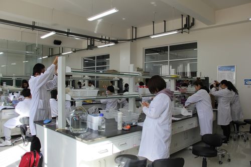 內(nèi)蒙古大學(xué)生物科學(xué)入選教育部基礎(chǔ)學(xué)科拔尖學(xué)生培養(yǎng)計(jì)劃2.0基地