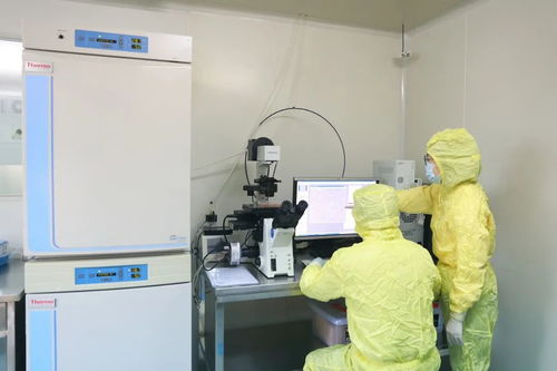 西部第一 全國(guó)第五 四川這7個(gè) 國(guó)字號(hào) 實(shí)驗(yàn)室,牛