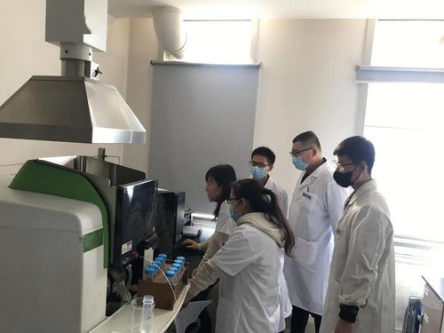 內(nèi)蒙古質(zhì)檢院順利完成首批農(nóng)產(chǎn)品食品檢驗(yàn)員培訓(xùn)及鑒定工作