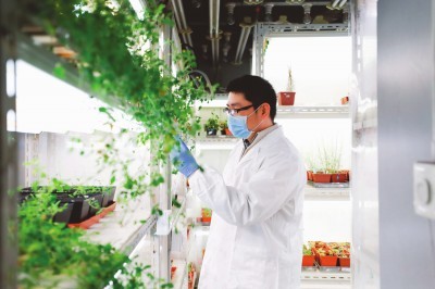 【文匯報】追尋植物再生的神秘力量--中國科學院