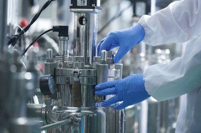 戰(zhàn)新產(chǎn)業(yè)&ldquo;百大工程&rdquo;|招商局集團(tuán)領(lǐng)航生物基聚酰胺創(chuàng)新突破 打造生物經(jīng)濟(jì)新引擎