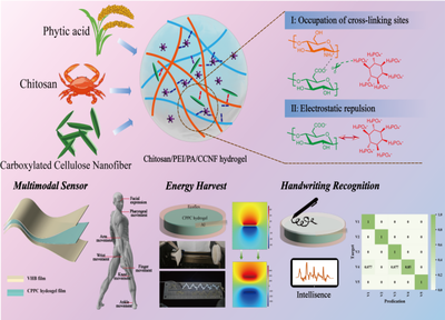 福建農(nóng)林大學(xué)黃彪教授團(tuán)隊(duì)在生物質(zhì)先進(jìn)材料研究與開(kāi)發(fā)方面取得顯著進(jìn)展