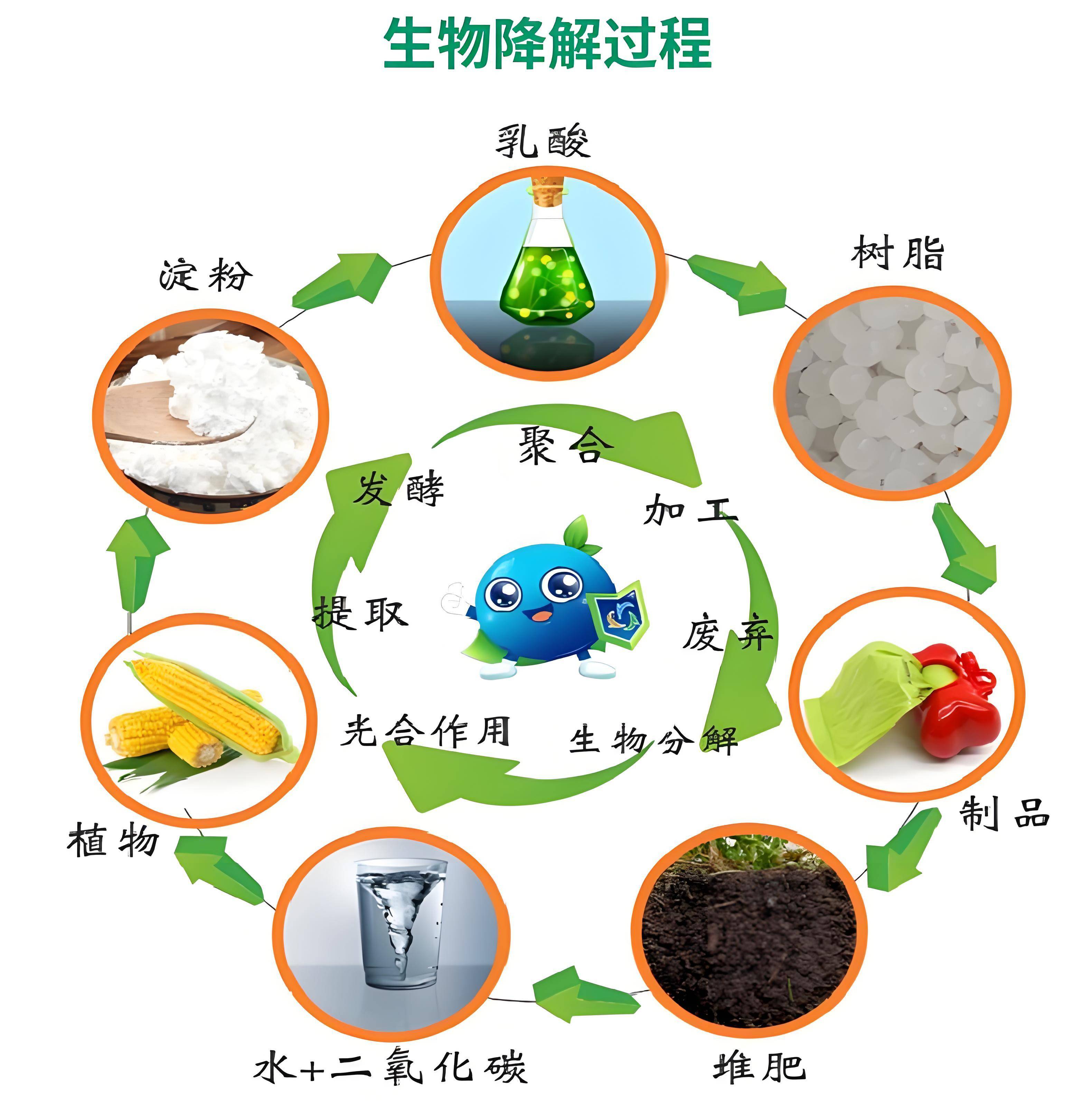 生物基材料&ne;生物降解材料:深入剖析兩大環(huán)保材料的本質(zhì)差異與關聯(lián)