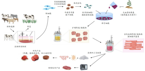 226起投融資、52個過億項目.食品飲料行業有哪些潛力賽道值得挖掘?